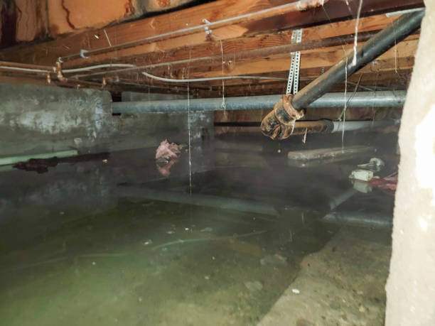 Best Water damage restoration specialists  in Smithville, NJ