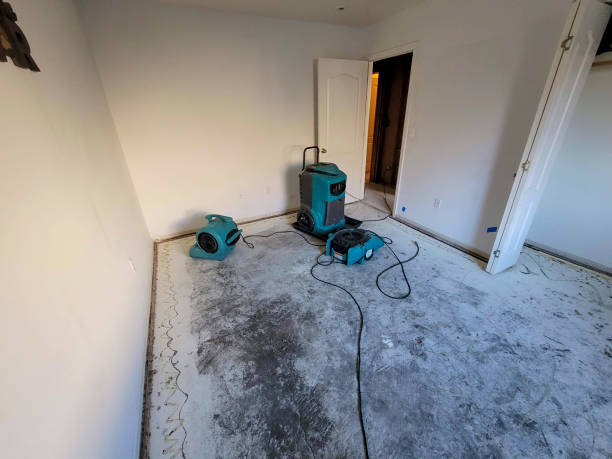 Best Mold removal after water damage  in Smithville, NJ