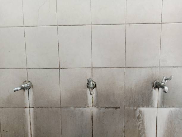 Best Basement water damage restoration  in Smithville, NJ